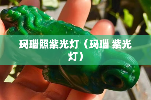 瑪瑙照紫光燈（瑪瑙 紫光燈）