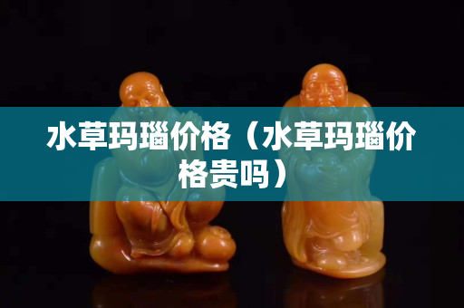 水草瑪瑙價(jià)格（水草瑪瑙價(jià)格貴嗎）