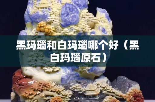 黑瑪瑙和白瑪瑙哪個(gè)好（黑白瑪瑙原石）