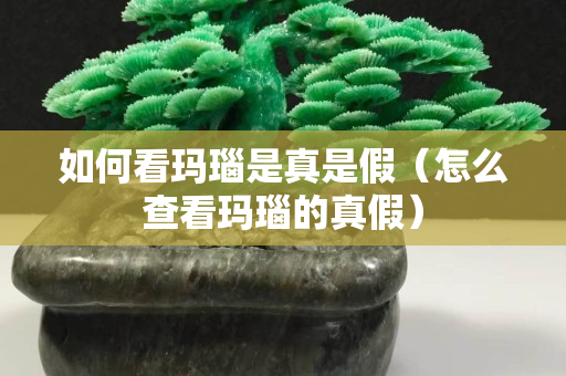 如何看瑪瑙是真是假（怎么查看瑪瑙的真假）