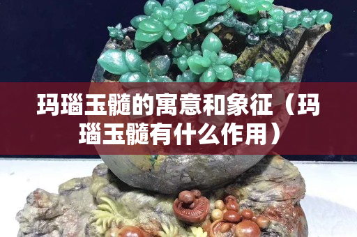 瑪瑙玉髓的寓意和象征（瑪瑙玉髓有什么作用）