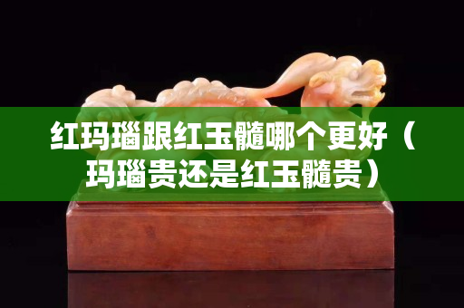 紅瑪瑙跟紅玉髓哪個更好（瑪瑙貴還是紅玉髓貴）
