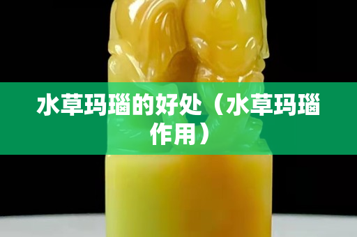 水草瑪瑙的好處（水草瑪瑙作用）