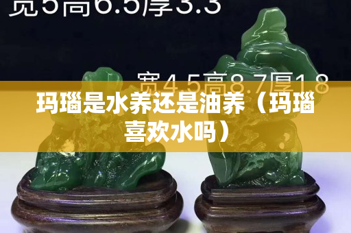 瑪瑙是水養(yǎng)還是油養(yǎng)（瑪瑙喜歡水嗎）