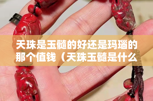 天珠是玉髓的好還是瑪瑙的那個值錢（天珠玉髓是什么材質）