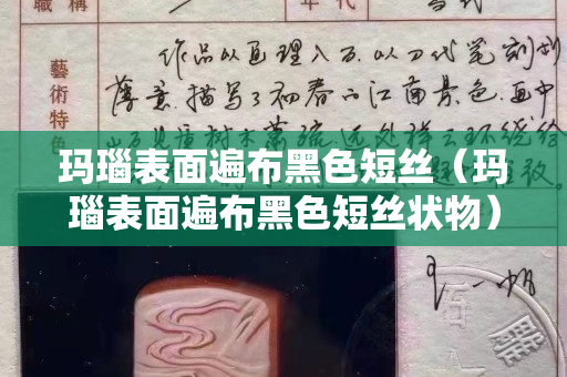 瑪瑙表面遍布黑色短絲（瑪瑙表面遍布黑色短絲狀物）