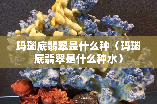 瑪瑙底翡翠是什么種（瑪瑙底翡翠是什么種水）