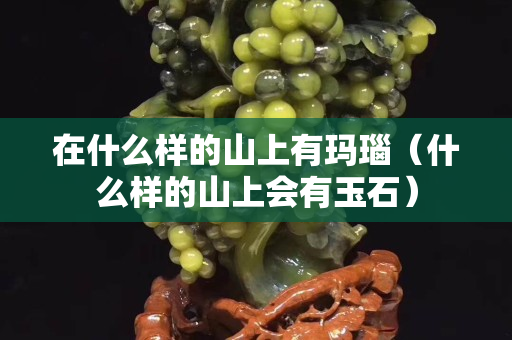 在什么樣的山上有瑪瑙（什么樣的山上會有玉石）
