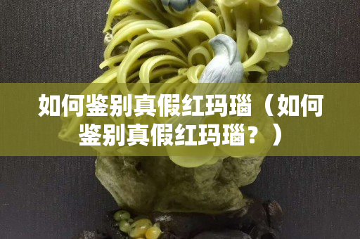 如何鑒別真假紅瑪瑙（如何鑒別真假紅瑪瑙？）