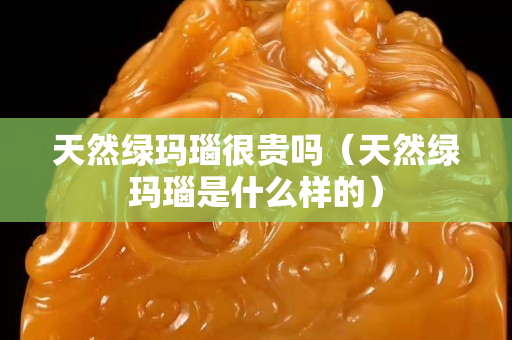 天然綠瑪瑙很貴嗎（天然綠瑪瑙是什么樣的）