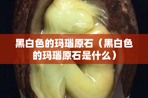 黑白色的瑪瑙原石（黑白色的瑪瑙原石是什么）