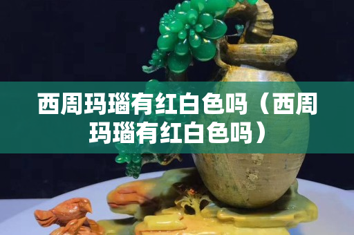 西周瑪瑙有紅白色嗎（西周瑪瑙有紅白色嗎）