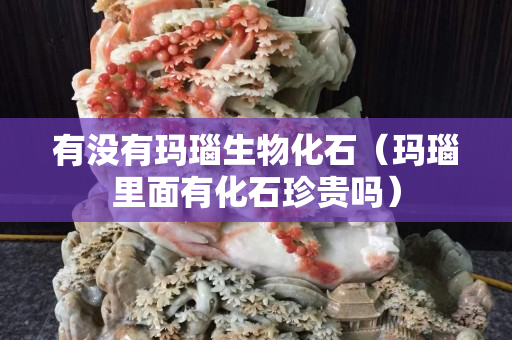 有沒有瑪瑙生物化石（瑪瑙里面有化石珍貴嗎）