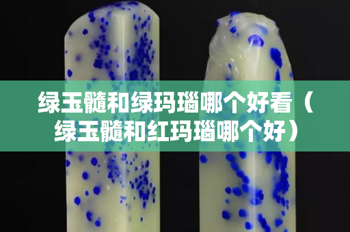 綠玉髓和綠瑪瑙哪個好看（綠玉髓和紅瑪瑙哪個好）