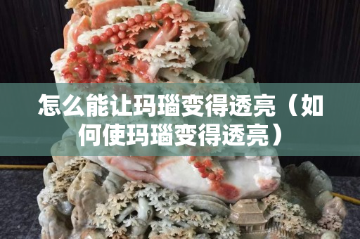 怎么能讓瑪瑙變得透亮（如何使瑪瑙變得透亮）