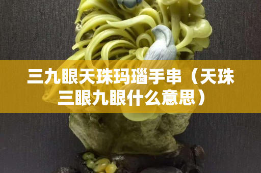 三九眼天珠瑪瑙手串（天珠三眼九眼什么意思）