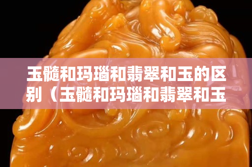 玉髓和瑪瑙和翡翠和玉的區別（玉髓和瑪瑙和翡翠和玉的區別在哪）