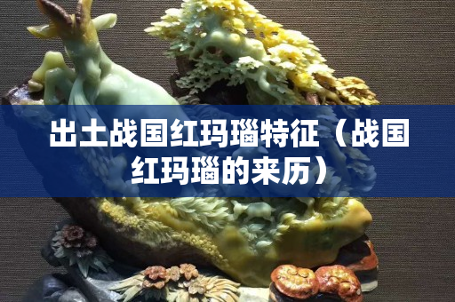出土戰(zhàn)國(guó)紅瑪瑙特征（戰(zhàn)國(guó)紅瑪瑙的來(lái)歷）