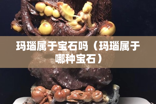 瑪瑙屬于寶石嗎（瑪瑙屬于哪種寶石）