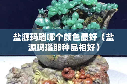 鹽源瑪瑙哪個(gè)顏色最好（鹽源瑪瑙那種品相好）