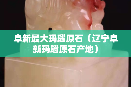 阜新最大瑪瑙原石（遼寧阜新瑪瑙原石產地）