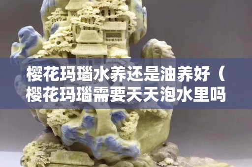 櫻花瑪瑙水養還是油養好（櫻花瑪瑙需要天天泡水里嗎）