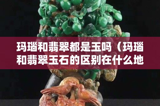 瑪瑙和翡翠都是玉嗎（瑪瑙和翡翠玉石的區(qū)別在什么地方）