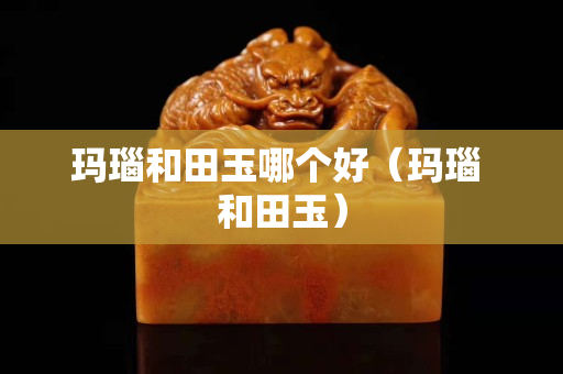 瑪瑙和田玉哪個好（瑪瑙 和田玉）