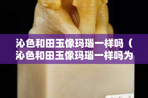 沁色和田玉像瑪瑙一樣嗎（沁色和田玉像瑪瑙一樣嗎為什么）