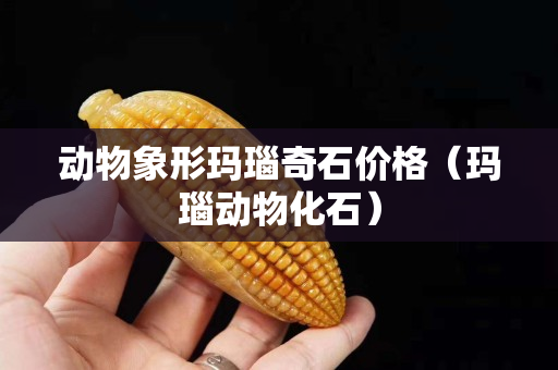 動物象形瑪瑙奇石價格（瑪瑙動物化石）