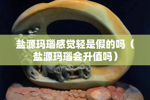 鹽源瑪瑙感覺輕是假的嗎（鹽源瑪瑙會升值嗎）