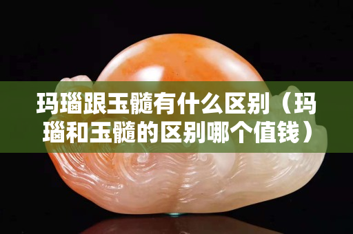 瑪瑙跟玉髓有什么區別（瑪瑙和玉髓的區別哪個值錢）