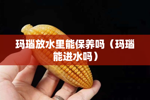 瑪瑙放水里能保養(yǎng)嗎（瑪瑙能進(jìn)水嗎）