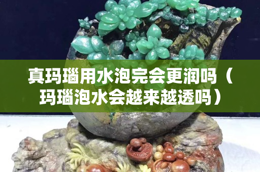 真瑪瑙用水泡完會更潤嗎（瑪瑙泡水會越來越透嗎）