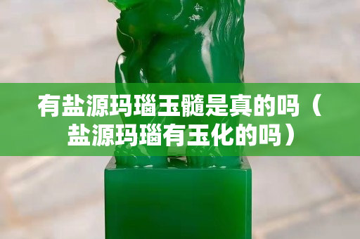 有鹽源瑪瑙玉髓是真的嗎（鹽源瑪瑙有玉化的嗎）