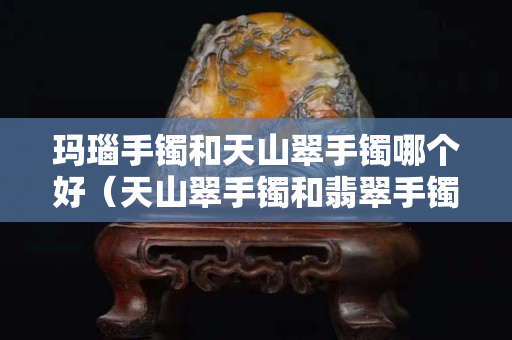 瑪瑙手鐲和天山翠手鐲哪個好（天山翠手鐲和翡翠手鐲哪個好）