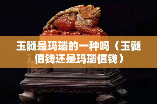 玉髓是瑪瑙的一種嗎（玉髓值錢還是瑪瑙值錢）