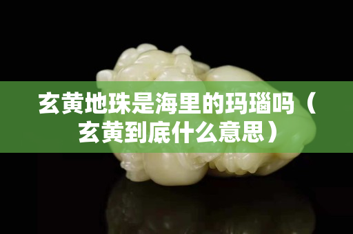 玄黃地珠是海里的瑪瑙嗎（玄黃到底什么意思）