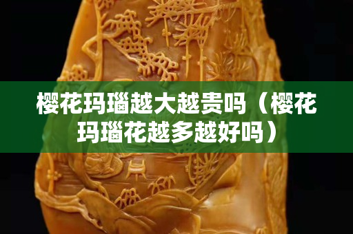 櫻花瑪瑙越大越貴嗎（櫻花瑪瑙花越多越好嗎）