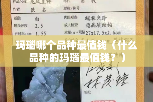 瑪瑙哪個品種最值錢（什么品種的瑪瑙最值錢？）