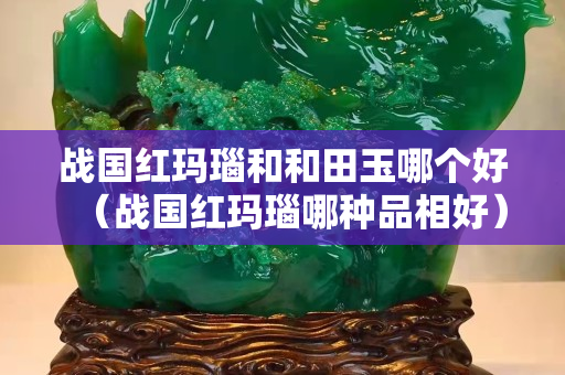 戰(zhàn)國紅瑪瑙和和田玉哪個好（戰(zhàn)國紅瑪瑙哪種品相好）