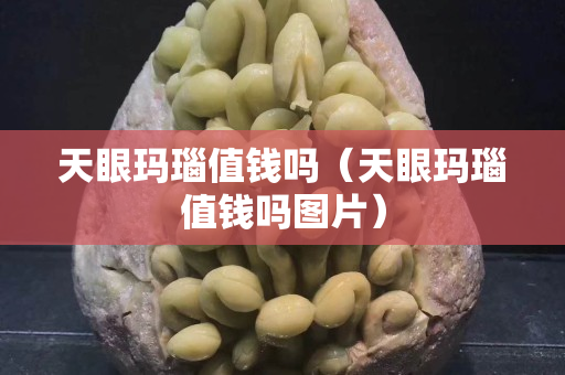 天眼瑪瑙值錢嗎（天眼瑪瑙值錢嗎圖片）