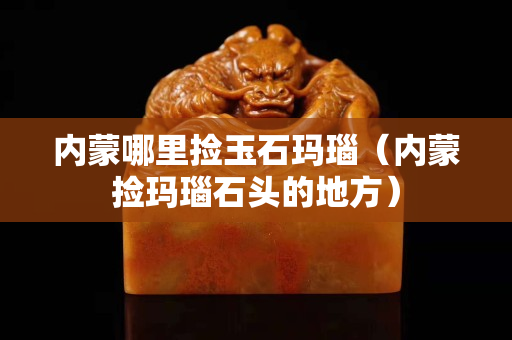 內蒙哪里撿玉石瑪瑙（內蒙撿瑪瑙石頭的地方）