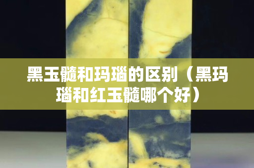 黑玉髓和瑪瑙的區(qū)別（黑瑪瑙和紅玉髓哪個(gè)好）