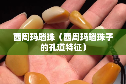 西周瑪瑙珠（西周瑪瑙珠子的孔道特征）