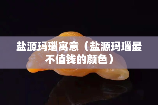 鹽源瑪瑙寓意（鹽源瑪瑙最不值錢的顏色）