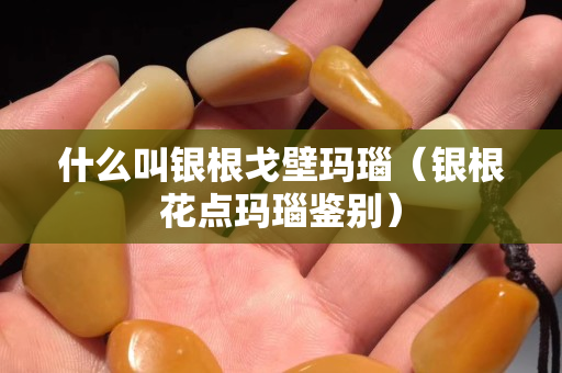 什么叫銀根戈壁瑪瑙（銀根花點瑪瑙鑒別）