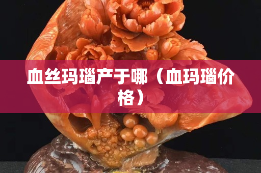 血絲瑪瑙產于哪（血瑪瑙價格）
