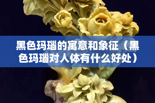 黑色瑪瑙的寓意和象征（黑色瑪瑙對人體有什么好處）
