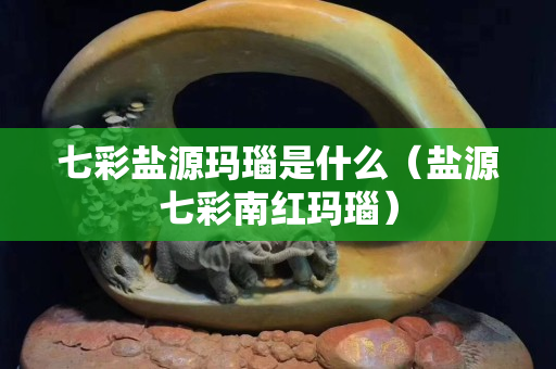 七彩鹽源瑪瑙是什么（鹽源七彩南紅瑪瑙）